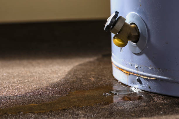 Carpet water damage restoration in Bethlehem Village, CT