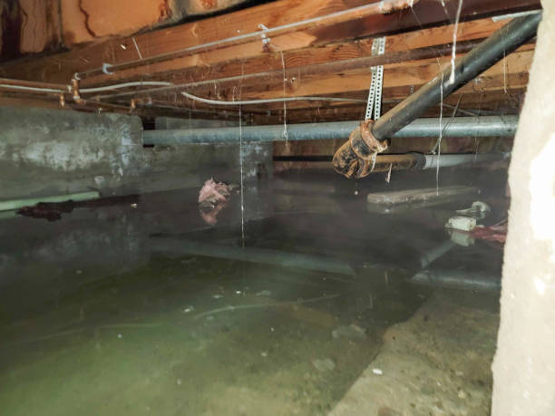  Bethlehem Village, CT Water damage restoration Pros