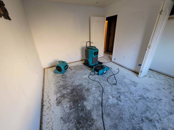 Best Flood damage cleanup  in Bethlehem Village, CT