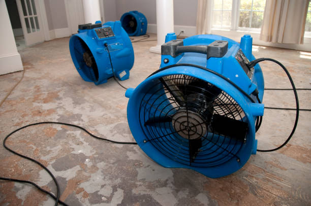 Best Commercial water damage restoration  in Bethlehem Village, CT