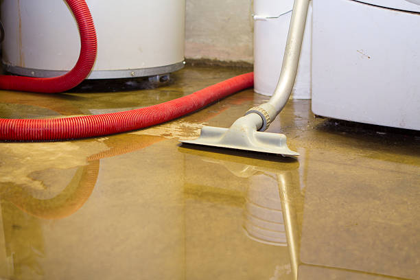 Best Water damage restoration near me  in Bethlehem Village, CT