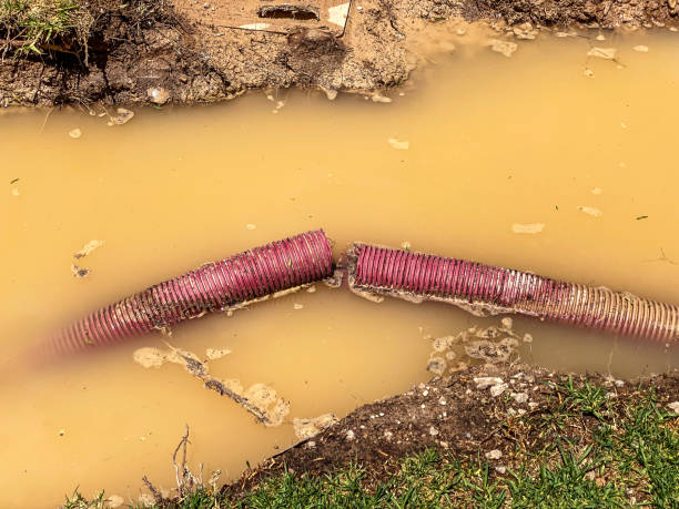 Best Basement water damage restoration  in Bethlehem Village, CT