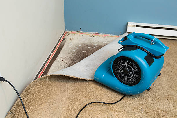 Best Local water damage restoration  in Bethlehem Village, CT